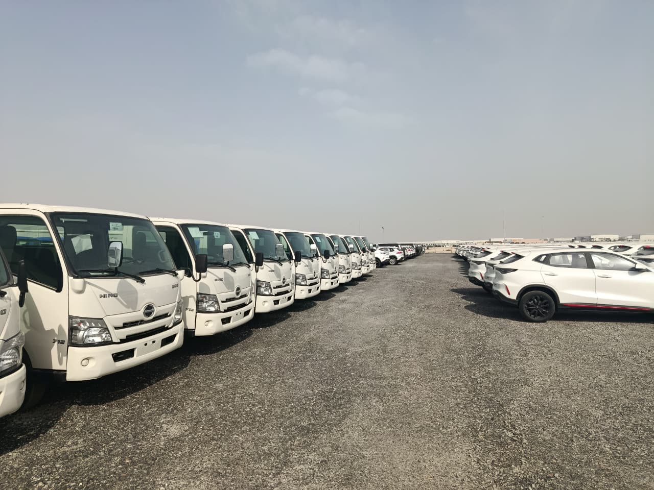 Fleet trailers staged in the open yard